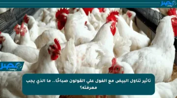 تأثير تناول البيض مع الفول على القولون صباحًا.. ما الذي يجب معرفته؟